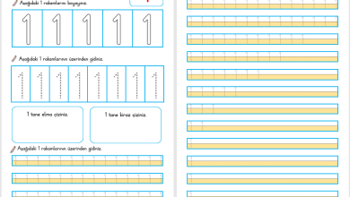1 Rakamı Öğretimi (Yeni Müfredata Uygun)
