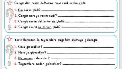 1. Sınıf 5N 1K Etkinliği 1