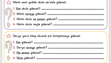 1. Sınıf 5N 1K Etkinliği 2