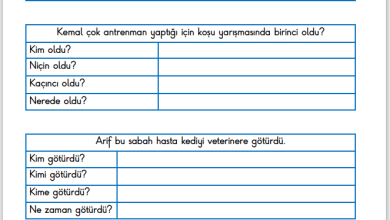 1. Sınıf 5N 1K Etkinliği – 10