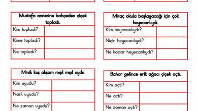 1. Sınıf 5N 1K Etkinliği – 7