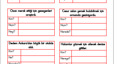 1. Sınıf 5N 1K Etkinliği – 8