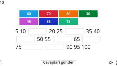 1. Sınıf 5’er Ritmik Sayma Oyunu (Boşlukları Doldurma)