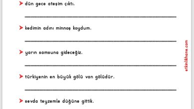 1. Sınıf Büyük Harflerin Kullanıldığı Yerler Etkinlikleri