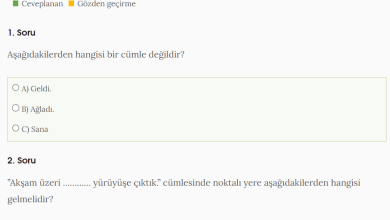 1. Sınıf Cümle Bilgisi Online Test