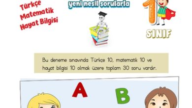 1. Sınıf Deneme Sınavı – 1