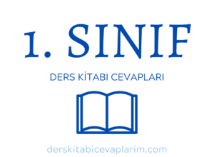 1. sınıf ders kitabı cevapları