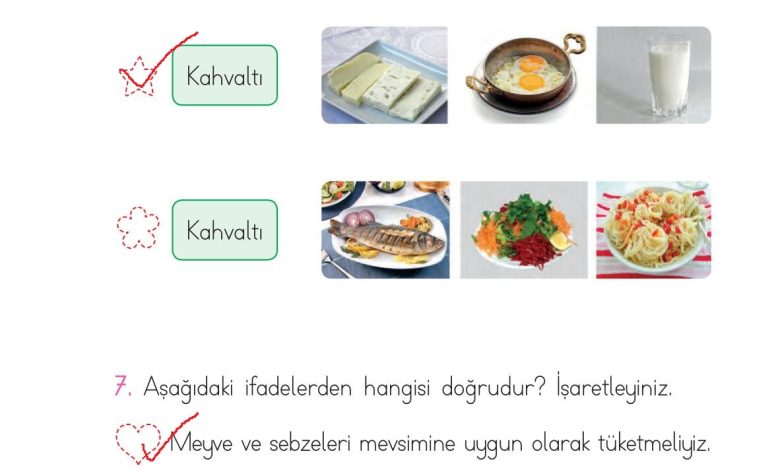 1. Sınıf Hayat Bilgisi Ardıç Yayınları Sayfa 106 Cevapları