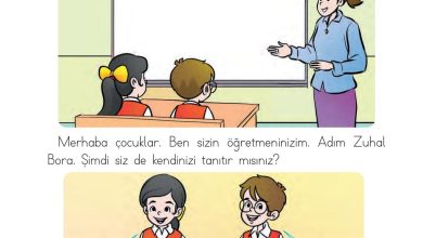 1. Sınıf Hayat Bilgisi Ardıç Yayınları Sayfa 12 Cevapları