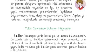 1. Sınıf Hayat Bilgisi Ardıç Yayınları Sayfa 166 Cevapları