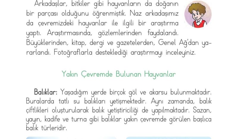 1. Sınıf Hayat Bilgisi Ardıç Yayınları Sayfa 166 Cevapları