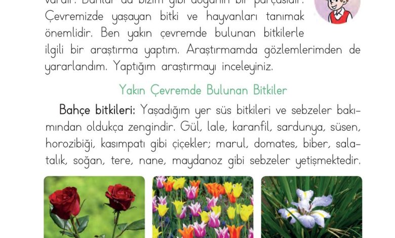 1. Sınıf Hayat Bilgisi Ardıç Yayınları Sayfa 172 Cevapları