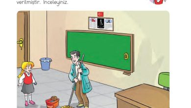 1. Sınıf Hayat Bilgisi Ardıç Yayınları Sayfa 33 Cevapları