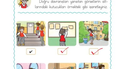 1. Sınıf Hayat Bilgisi Ardıç Yayınları Sayfa 38 Cevapları