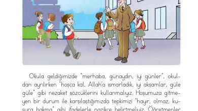 1. Sınıf Hayat Bilgisi Ardıç Yayınları Sayfa 40 Cevapları