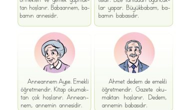 1. Sınıf Hayat Bilgisi Ardıç Yayınları Sayfa 55 Cevapları