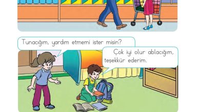 1. Sınıf Hayat Bilgisi Ardıç Yayınları Sayfa 63 Cevapları