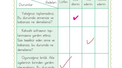 1. Sınıf Hayat Bilgisi Ardıç Yayınları Sayfa 64 Cevapları