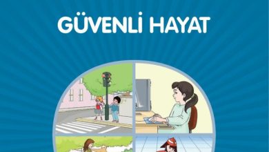 1. Sınıf Hayat Bilgisi Kök-e Yayınları Sayfa 112 Cevapları