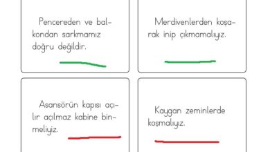 1. Sınıf Hayat Bilgisi Kök-e Yayınları Sayfa 118 Cevapları