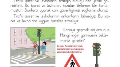 1. Sınıf Hayat Bilgisi Kök-e Yayınları Sayfa 121 Cevapları