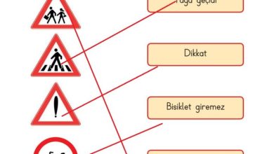 1. Sınıf Hayat Bilgisi Kök-e Yayınları Sayfa 125 Cevapları