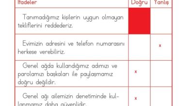 1. Sınıf Hayat Bilgisi Kök-e Yayınları Sayfa 128 Cevapları