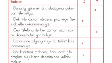 1. Sınıf Hayat Bilgisi Kök-e Yayınları Sayfa 134 Cevapları