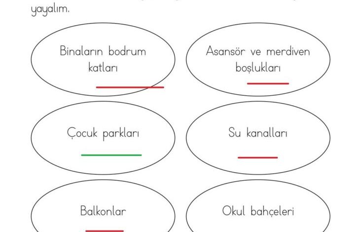 1. Sınıf Hayat Bilgisi Kök-e Yayınları Sayfa 137 Cevapları