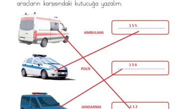 1. Sınıf Hayat Bilgisi Kök-e Yayınları Sayfa 139 Cevapları