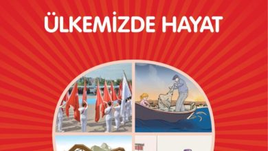 1. Sınıf Hayat Bilgisi Kök-e Yayınları Sayfa 142 Cevapları