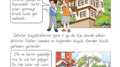 1. Sınıf Hayat Bilgisi Kök-e Yayınları Sayfa 145 Cevapları