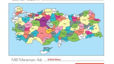 1. Sınıf Hayat Bilgisi Kök-e Yayınları Sayfa 152 Cevapları