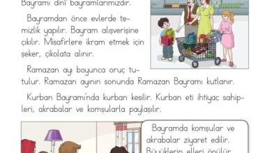 1. Sınıf Hayat Bilgisi Kök-e Yayınları Sayfa 160 Cevapları