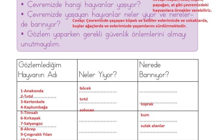 1. Sınıf Hayat Bilgisi Kök-e Yayınları Sayfa 168 Cevapları