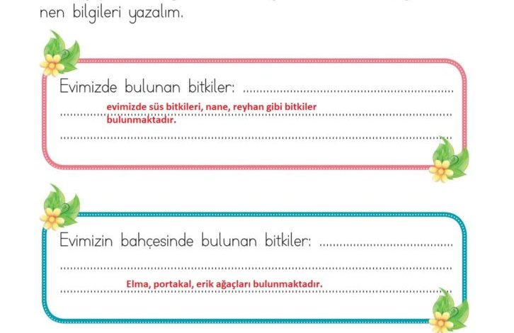 1. Sınıf Hayat Bilgisi Kök-e Yayınları Sayfa 176 Cevapları