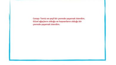 1. Sınıf Hayat Bilgisi Kök-e Yayınları Sayfa 182 Cevapları