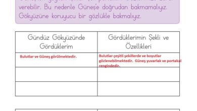 1. Sınıf Hayat Bilgisi Kök-e Yayınları Sayfa 186 Cevapları