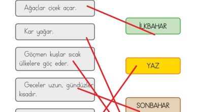 1. Sınıf Hayat Bilgisi Kök-e Yayınları Sayfa 190 Cevapları