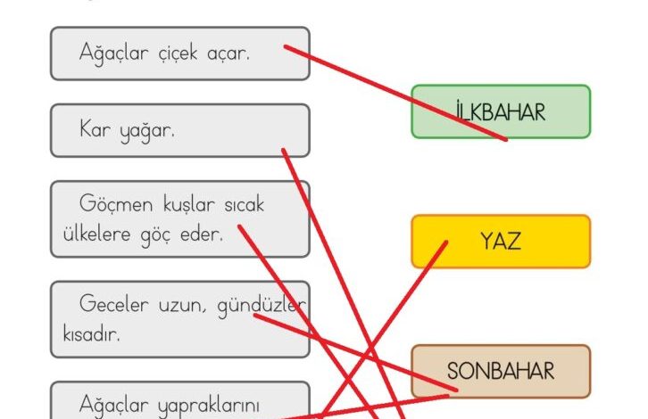 1. Sınıf Hayat Bilgisi Kök-e Yayınları Sayfa 190 Cevapları