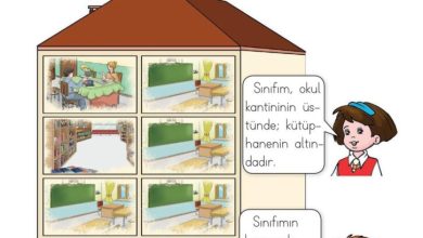 1. Sınıf Hayat Bilgisi Kök-e Yayınları Sayfa 21 Cevapları