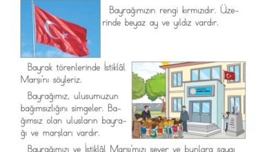 1. Sınıf Hayat Bilgisi Kök-e Yayınları Sayfa 26 Cevapları