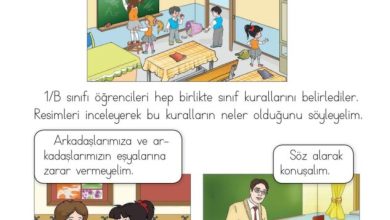 1. Sınıf Hayat Bilgisi Kök-e Yayınları Sayfa 35 Cevapları