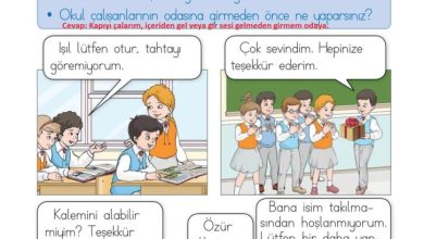 1. Sınıf Hayat Bilgisi Kök-e Yayınları Sayfa 41 Cevapları