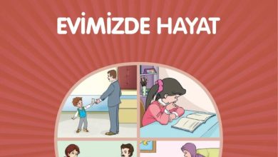 1. Sınıf Hayat Bilgisi Kök-e Yayınları Sayfa 58 Cevapları