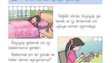 1. Sınıf Hayat Bilgisi Kök-e Yayınları Sayfa 74 Cevapları