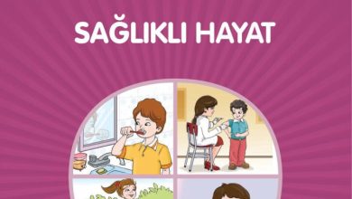 1. Sınıf Hayat Bilgisi Kök-e Yayınları Sayfa 86 Cevapları