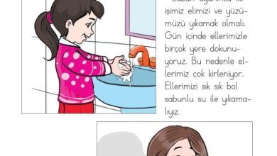 1. Sınıf Hayat Bilgisi Kök-e Yayınları Sayfa 88 Cevapları