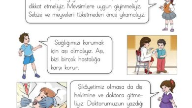 1. Sınıf Hayat Bilgisi Kök-e Yayınları Sayfa 91 Cevapları