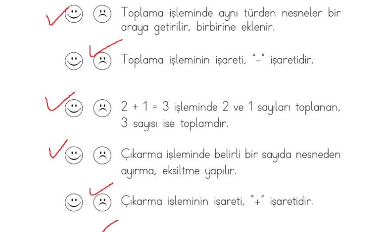 1. Sınıf Matematik Açılım Yayınları Sayfa 100 Cevapları